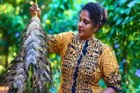 ببینید| غذای روستایی در سریلانکا؛ پخت یک غذای خاص با میگو، سبزیجات و مرغ در روستا