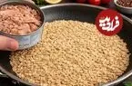 ببینید| طرز تهیه یک غذای ساده و جدید با تن ماهی و جو دوسر