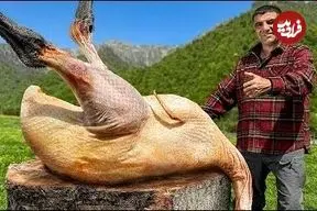 ببینید| غذای روستایی در آذربایجان؛ پخت شترمرغ در طبیعت زیبای روستا