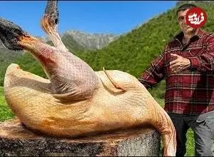 ببینید| غذای روستایی در آذربایجان؛ پخت شترمرغ در طبیعت زیبای روستا