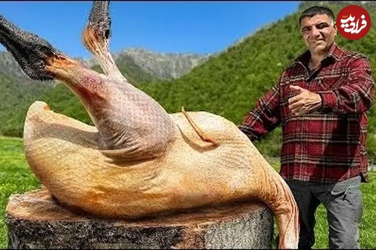 ببینید| غذای روستایی در آذربایجان؛ پخت شترمرغ در طبیعت زیبای روستا