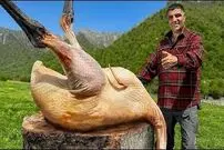 ببینید| غذای روستایی در آذربایجان؛ پخت شترمرغ در طبیعت زیبای روستا