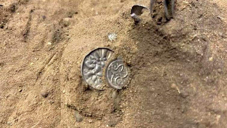  گنجینه‌ای هزار ساله از سکه‌های دوران وایکینگ‌ها در دانمارک کشف شد