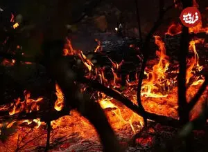 ببینید| نبرد آتش‌نشانان اسپانیا با آتش‌سوزی جنگلی