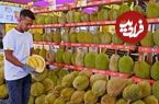 ببینید؛ برش زدن استادانه میوه استوایی دوریان توسط میوه فروش تایلندی