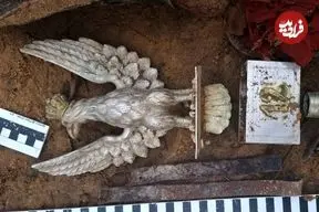 «عقاب گُردان دوازدهم» 80 سال بعد از جنگ جهانی دوم در جنگل پیدا شد