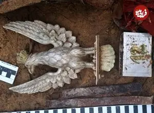 «عقاب گُردان دوازدهم» 80 سال بعد از جنگ جهانی دوم در جنگل پیدا شد