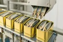 ببینید؛ نگاهی به مراحل تولید انبوه کنسرو ساردین، خاویار و سس ورچستر 