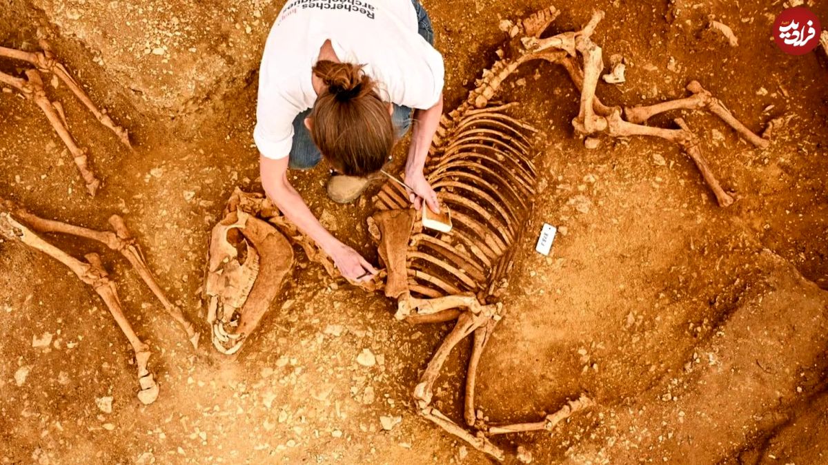 (عکس) کشف گورهای مرموز باستانی از اسب‌های ۲ هزار ساله در فرانسه