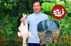 ببینید؛ غذای روستایی در چین؛ پخت غذا با مرغ و لاک پشت گازگیر