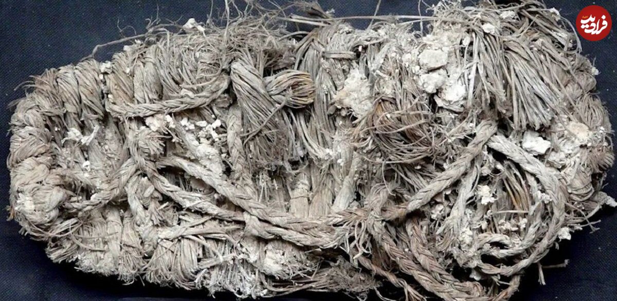 تصاویر؛ ماجرای همای سعادت و پاپوش ۶۵۰ ساله