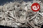 تصاویر؛ ماجرای همای سعادت و پاپوش ۶۵۰ ساله