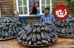 (ویدئو) غذاهای روستایی: تهیه ترشی بادمجان شکم پر به سبک بانوی روستایی آذربایجانی