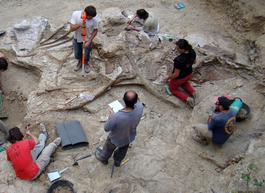 (تصاویر) کشف استخوان‌های «غول گارومبا»؛ دایناسوری که قبلا ناشناخته بود