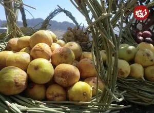 عکس| سفر زمان؛ عکس آتلیه‌ای «انجیرفروش دوره‌گرد» در دوران قاجار