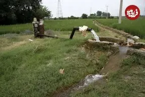 ۳۰۰ هزار حلقه چاه غیرمجاز در کشور؛ خطر از بین رفتن کشاورزی در بسیاری از نقاط