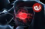 پیشگویی سلامت قلب امکانپذیر شد