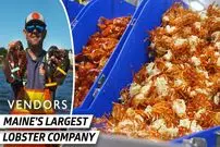 ببینید| چگونه میلیون ها عدد لابستر در آمریکا پرورش داده و فرآوری می شوند؟