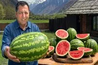 ببینید| غذای روستایی در آذربایجان؛ پخت مرغ داخل هندوانه و روی آتش