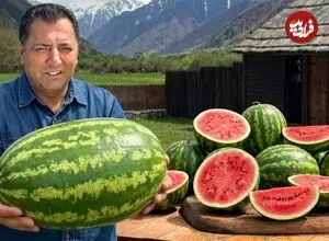 ببینید| غذای روستایی در آذربایجان؛ پخت مرغ داخل هندوانه و روی آتش