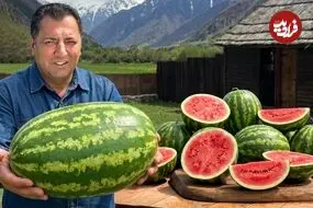 ببینید| غذای روستایی در آذربایجان؛ پخت مرغ داخل هندوانه و روی آتش