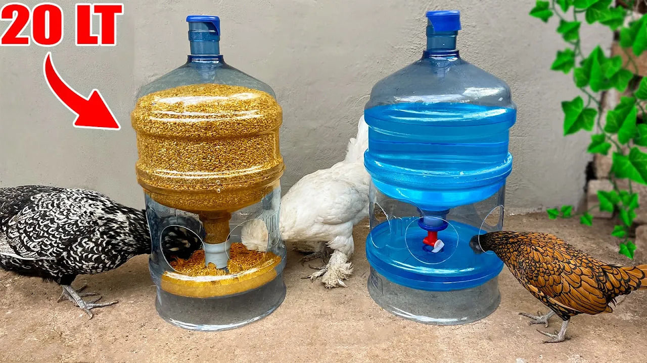 (ویدئو) نحوه ساخت دانخوری و آبخوری برای مرغ و خروس ها با بطری 20 لیتری