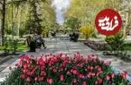 عکس| سفر به ایران قدیم؛ یک فیلیپینی در پارک ملت تهران؛ سال 1357