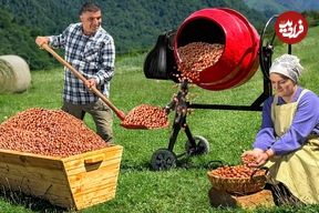 ببییند؛ غذای روستایی در آذربایجان؛ تهیه نوتلا با فندق تازه در یک روستای زیبای کوهستانی