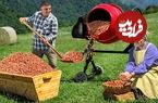 ببییند؛ غذای روستایی در آذربایجان؛ تهیه نوتلا با فندق تازه در یک روستای زیبای کوهستانی