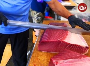 (ویدئو) مهارت درخشان استاد تایوانی در بُرش زدن ماهی تن 288 کیلویی و تهیه ساشیمی