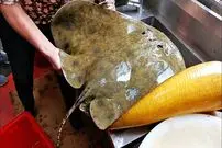 ببینید| غذای خیابانی در چین؛ پخت یک غذای سنتی با سفره ماهی در پکن