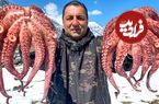 ببینید؛ غذای روستایی در آذربایجان؛ پخت هشت پا با سبزیجات در کوهستان