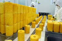(ویدئو) نحوه فرآوری آناناس، نیشکر و تولید انبوه سالاد در کارخانه