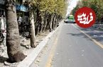 عکس؛ سفر در زمان؛ ظاهر «خیابان ولیعصر» در یک روز برفی؛ دهه 40