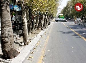عکس؛ سفر در زمان؛ ظاهر «خیابان ولیعصر» در یک روز برفی؛ دهه 40