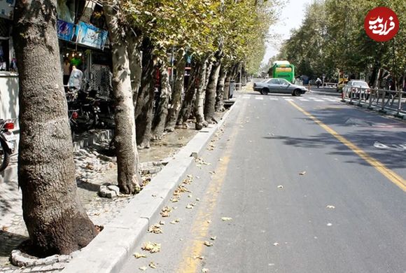عکس؛ سفر در زمان؛ ظاهر «خیابان ولیعصر» در یک روز برفی؛ دهه 40