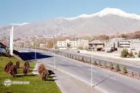 تصاویر؛ سفر به تهران قدیم؛ پارک‌وی را بستند تا آسفالت کنند! 