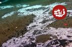 ببینید؛ تصویربرداری از موجودات عجیب و غریب در عمق ۹ کیلومتری اقیانوس آرام