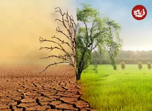 طرح پدر علم هواشناسی برای عبور از کم‌آبی؛ طرح انتقال برف در تابستان چیست؟
