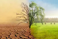 طرح پدر علم هواشناسی برای عبور از کم‌آبی؛ طرح انتقال برف در تابستان چیست؟