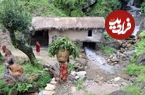ببییند| غذای روستایی در نپال؛ برداشت سبزی های کوهی و پخت ماکارونی در هیمالیا