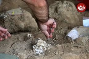 کشف «فکّ» یک و نیم میلیون سالۀ انسان در گرجستان