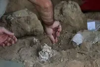 کشف «فکّ» یک و نیم میلیون سالۀ انسان در گرجستان