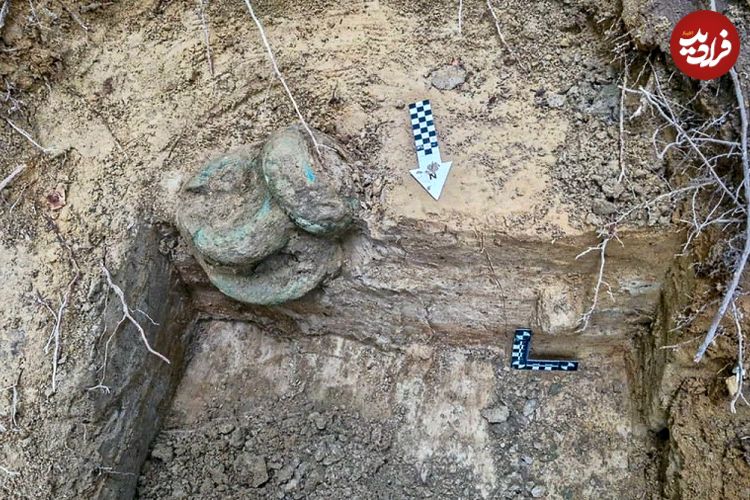 «گنج جواهرات 2800 ساله» توسط جویندگان آماتور در جنگل پیدا شد