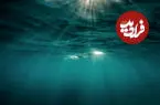 وقتی انسان کم می آورد؛ سلاطین تنفس وارد می شوند! + اینفوگرافیک