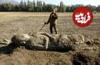 مجسمۀ 3 متری در هنگام کاشت سیب‌زمینی از زیر خاک بیرون آمد