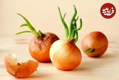 آیا می‌توان پیاز جوانه‌زده را مصرف کرد؟ 