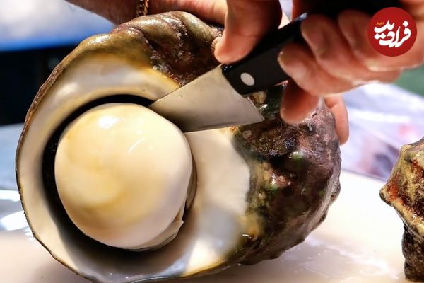 ببینید؛ غذای خیابانی در ژاپن؛ برش و تهیه غذا و ساشیمی با حلزون دریایی در اوکیناوا