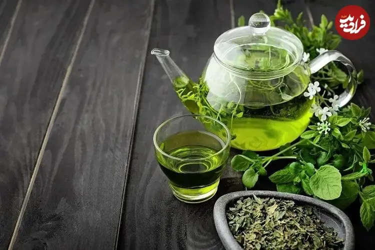 چه کسانی نباید چای سبز بخورند؟ | عوارض پنهان و بهترین ساعت مصرف این نوشیدنی محبوب