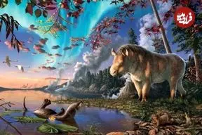 کشف فسیل «کرگدن بی‌شاخ» که 23 میلیون سال پیش در «گودال شهاب‌سنگ» مرده بود